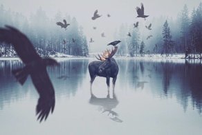 Невероятные манипуляции с фотографиями от Текин Тюре