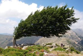 Фотоподборка