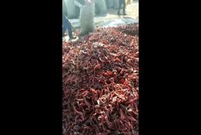 Не забывайте мыть перец чили! 