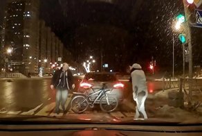 В Петербурге водитель задним ходом сбил велосипедиста