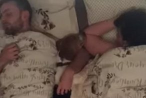 Двое в кровати, не считая собаки: таймлапс о бигле, который пытался поспать с хозяевами