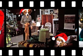 Новогодний стоп-кадр