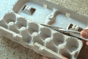 Куда деть коробки из-под яиц? Только не вздумайте их выбрасывать!