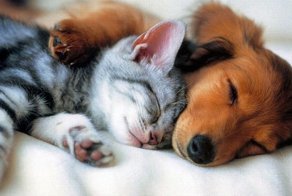 Подборка прикольных картинок