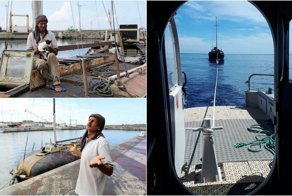 Польский моряк с кошкой 7 месяцев дрейфовал в Индийском океане