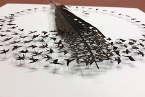 Перья как произведения искусства