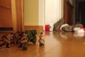 Военные в доме