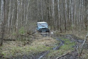 Поехали за грибами, а нашли следы применения неведомого по мощности оружия