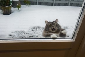 Фотоподборка за 05.01.2018