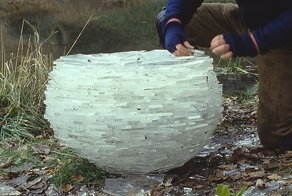 Вдохновляющие работы, созданные самой природой