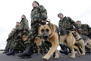 Животные на военной службе