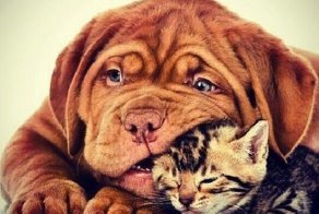 Фотопост о Дружбе и Добре