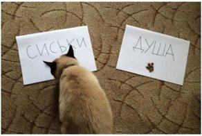 Я сообщить уполномочен, что мир вокруг нас озабочен