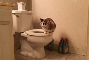 О падении на дно и тотальной экономии