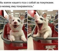 Картинки с надписями для настроения