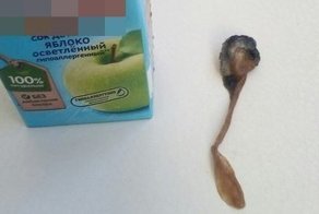 Вонючий гость в коробке с детским соком