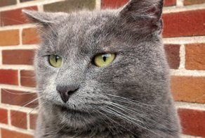 Когда дошутился до повышения