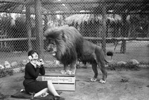 Знаменитая "голливудская львиная ферма": архивные фотографии 1925 - 1942 гг