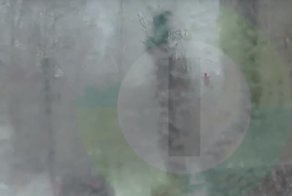 Из окна роддома выпала беременная омичка: видео