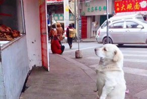 Подборка прикольных картинок