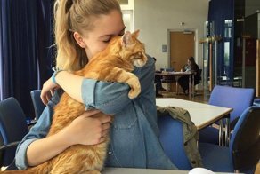Котик приходит в универ каждый день спасать студентов обнимашками