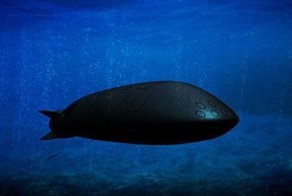 Пентагон испугался российского подводного дрона с ядерными боеголовками