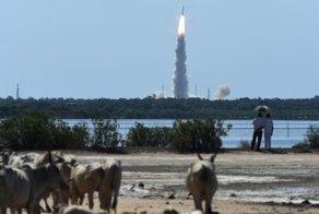 Пока мы читаем посты на Фишках, Индия уходит в отрыв