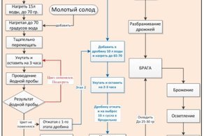 Приготовление солодовой браги