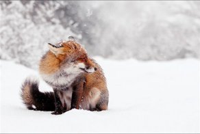 Фотоприколы, подборка часть 1