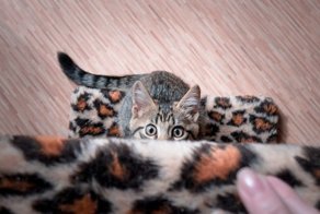 Подборка прикольных картинок