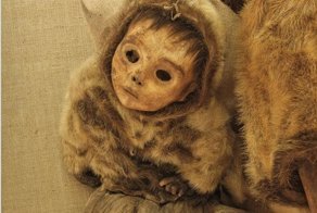 Жуткие вещи, которые были найдены во льдах