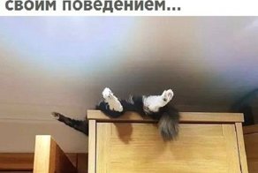 Картинки с надписями для настроения