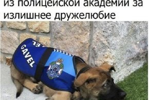 Картинки с надписями для настроения