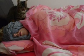 Хозяева, пора вставать! Кошачий будильник в действии