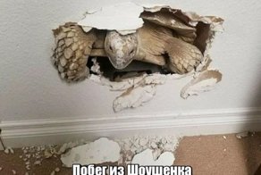 Картинки с надписями для настроения