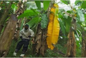 Отсутствие снега - не помеха! Новые безумства от одного из лучших лыжников планеты 