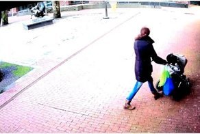 Дерево упало в считанных сантиметрах от женщины с ребенком