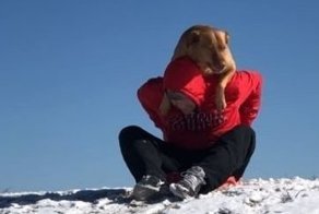 И меня, и меня прокати! Собака катается с горки вместе с хозяином