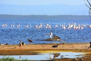 Африканский трип — часть 2