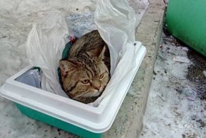 Красноярцы выбросили Лёву на помойку с запиской
