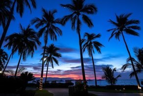 История из забугорья