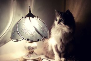 Когда выбрал не ту профессию