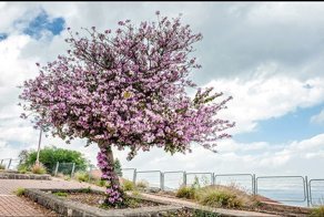 Израиль каким вы его еще не видели