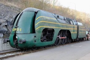 Бельгийский красавец