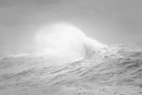 Победители конкурса Black + White Photographer of the Year