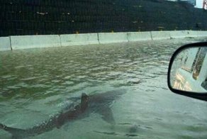 10 знаменитых фотографий, оказавшихся фальшивками