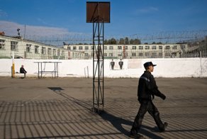 В Коми вынесли приговор мужчине, убившего кота в стиральной машине