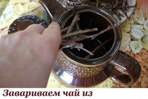 Завариваем чай из собственного сада