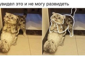 Картинки с надписями для настроения