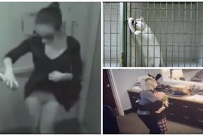Удивительные вещи, которые были сняты камерой видеонаблюдения